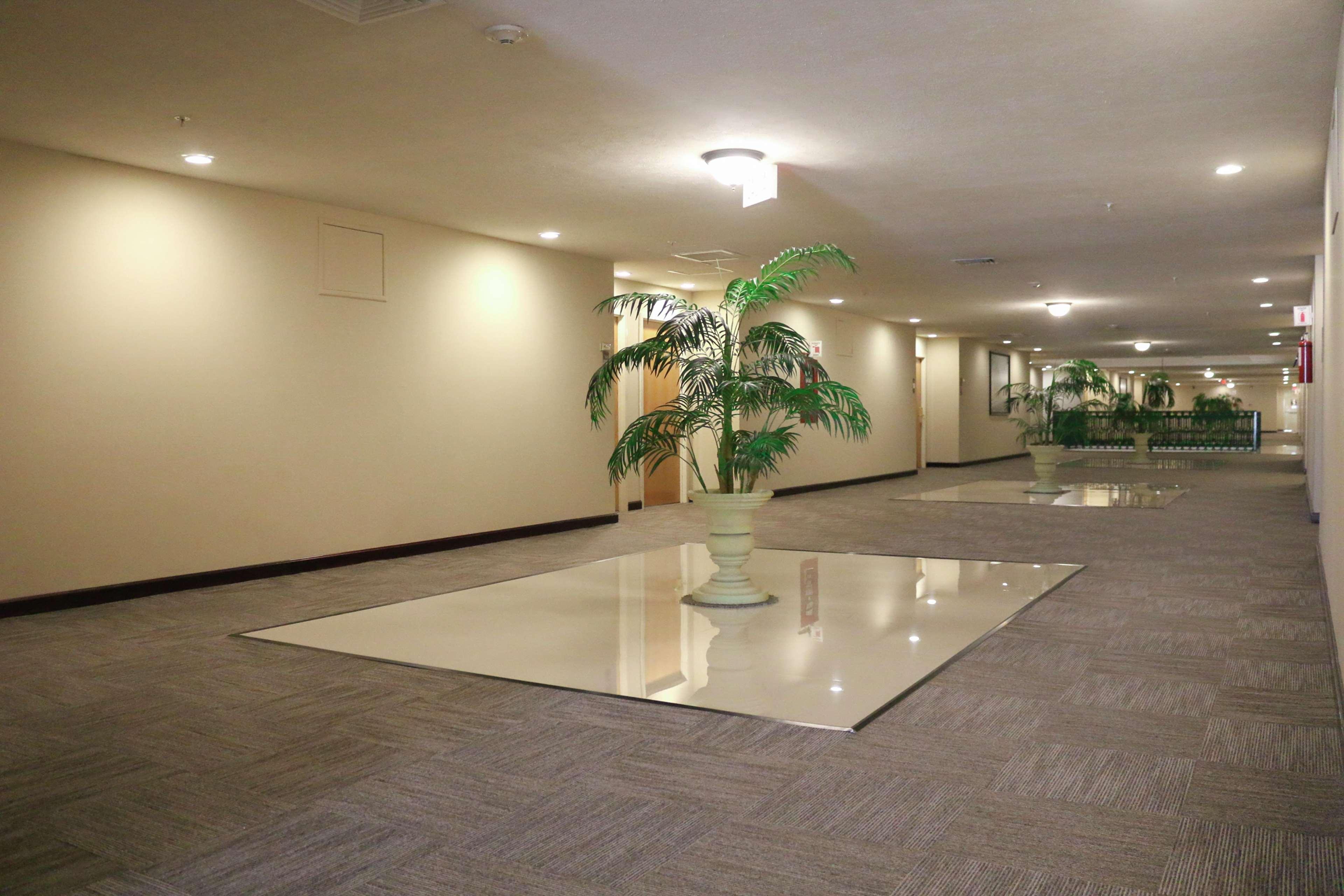 Hampton Inn Tampico Zona Dorada Exterior foto